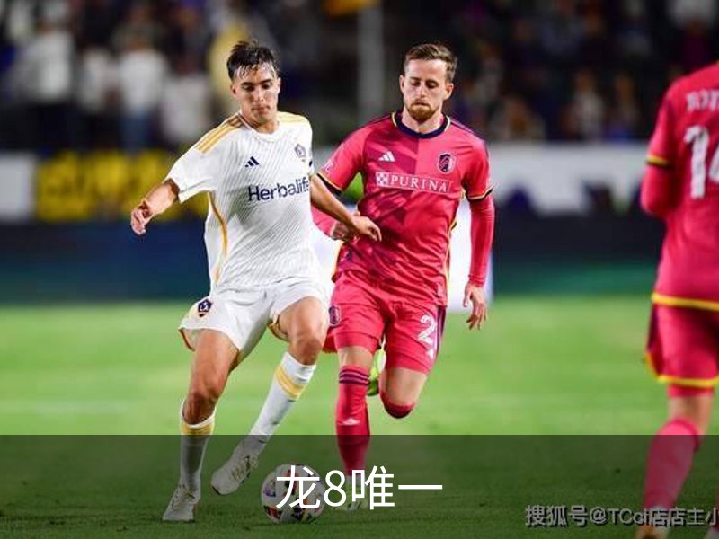 龙8唯一介绍